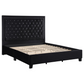 Hailey Upholstered Queen Panel Bed Black 315925Q