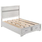 Miranda Wood Queen Storage Panel Bed White 205111Q