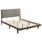 Mays Wood Queen Panel Bed Walnut 215961Q