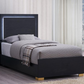 Marceline Wood Twin LED Panel Bed Black 222831T Comming Soon