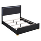 Cama Queen con paneles LED de madera Marceline en color negro 222831Q 