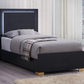 Cama doble con paneles LED de madera Marceline en color negro 222831T 