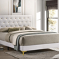 Kendall Upholstered Queen Panel Bed White 224401Q