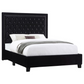 Hailey Upholstered Queen Panel Bed Black 315925Q