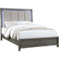 Kieran Wood Queen LED Panel Bed Grey	224741Q