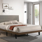 Mays Wood Queen Panel Bed Walnut 215961Q