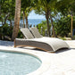 Big Sur Daybed - Venini Furniture 