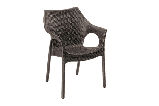 Plastique Dining Armchair